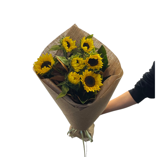 Sydney's freshest flowers delivered daily to your door! Sunflower Flower Posy