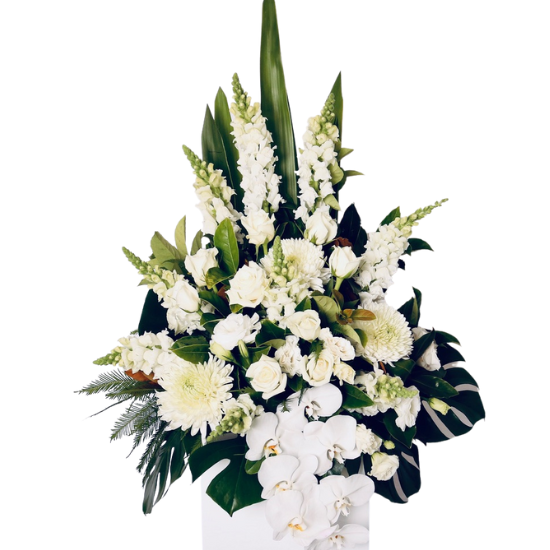 Sydney's freshest flowers delivered daily to your door! Eternity Funeral Ceremony Arrangement